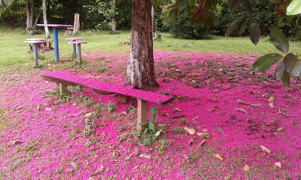 Pouso Jambo Rosa Ξενοδοχείο Valenca  Εξωτερικό φωτογραφία